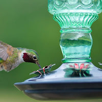Antique Sea Green Glass Hummingbird Feeder