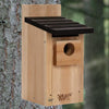 Bluebird Nesting Box Birdhouse
