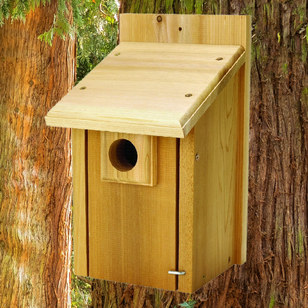 Bluebird Nest Box Birdhouse