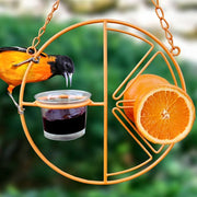 Clementine Oriole Bird Feeder