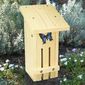 Butterfly White Pine Habitat 14 inch