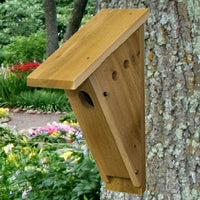 Peterson Cedar Bluebird House