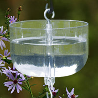 Nectar Protector Jr Ant Moat - Clear