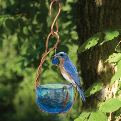 Copper Bluebird Mealworm Bird Feeder