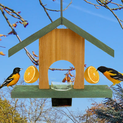 Oriole Cedar Fruit & Jelly Bird Feeder