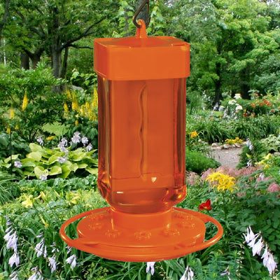 Oriole Nectar Bird Feeder 32 oz