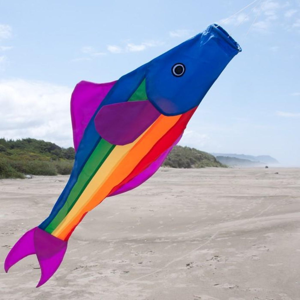 Rainbow Fish Decorative Windsock 48 inch