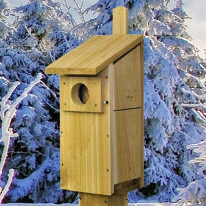 Screech Owl/Kestrel Cedar Birdhouse