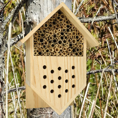 Solitary Bee Boarding House
