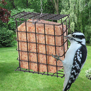 Single Suet Black Basket Bird Feeder