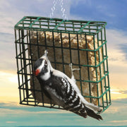 Single Suet Green Basket Bird Feeder