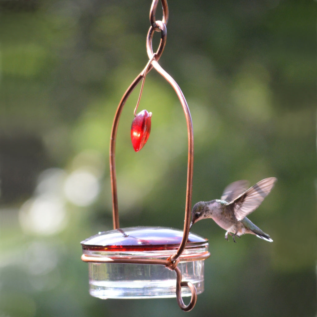 Tweet Heart Hummingbird Dish Feeder