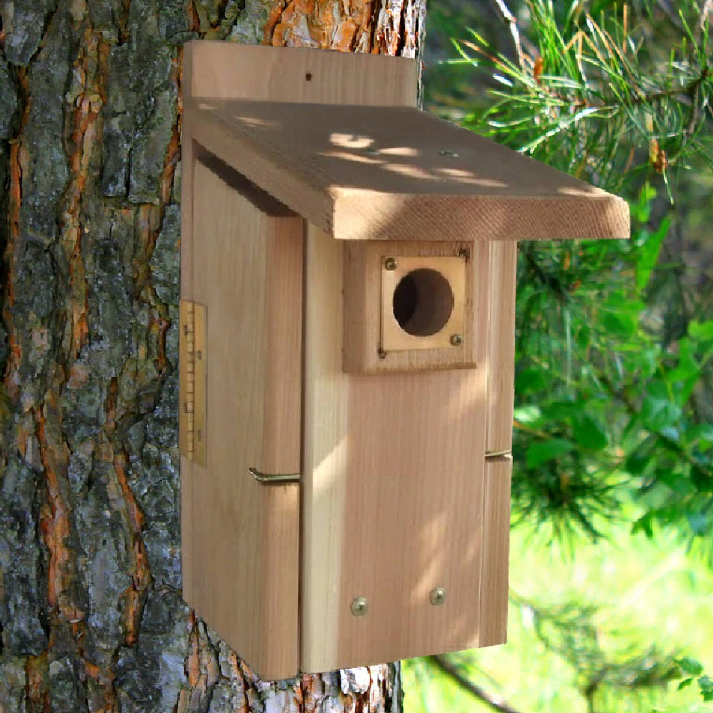 Ultimate Cedar Bluebird House