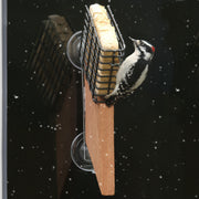 Suet Window Mount Bird Feeder