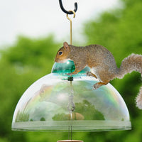 Squirrel Guard/Weather Dome Green