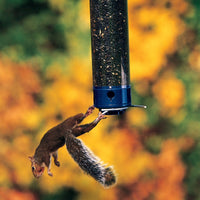 Yankee Whipper Squirrel Proof Bird Feeder